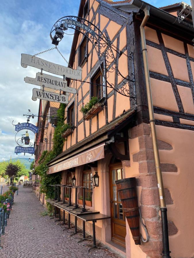 Appartement Le Cerf Kaysersberg-Vignoble Exterior foto